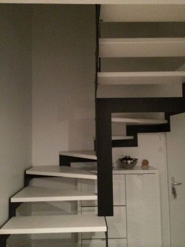 escalier double limon métal
